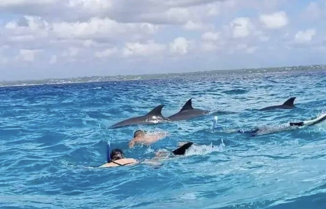 trekpoint decoration image